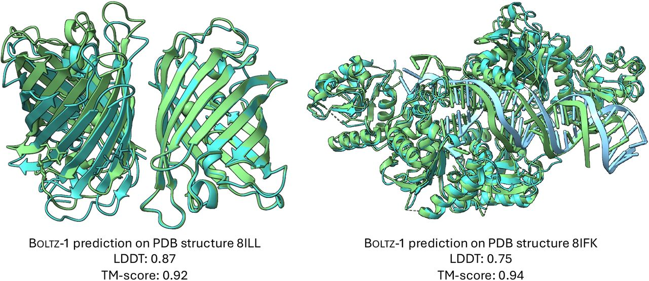 Boltz-1: Democratizando la modelación de interacciones biomoleculares