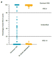 Determinantes Genómicos de la Jerarquía de Expresión Antigénica en Tripanosomas Africanos