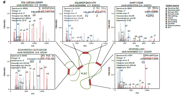 Descifrando el “Genoma Oscuro” de las Proteínas: Nueva Herramienta moPepGen Revela un Universo de Péptidos No Canónicos
