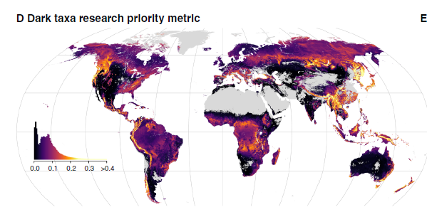 La Materia Oscura de los Bosques: Descubren un Vasto Mundo de Hongos Desconocidos Cruciales para el Planeta