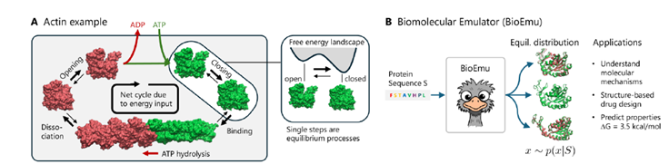BioEmu: La IA Revolucionaria que Simula la Danza de las Proteínas y Desvela los Secretos de la Función Biológica