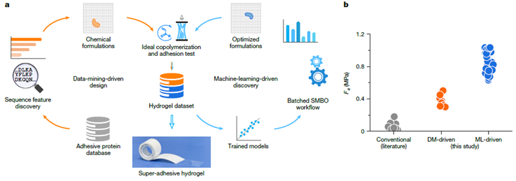 ¡Pegamento Definitivo Inspirado en la Naturaleza y Creado por IA! Descubren un Hidrogel Súper Adhesivo que Funciona Debajo del Agua