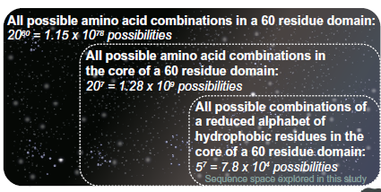 El Código Secreto de las Proteínas: Cómo Núcleos Aleatorios Revelan las Reglas Ocultas de la Estabilidad y la Función Celular
