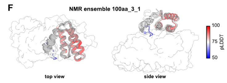 AlphaDesign, una nueva herramienta computacional para diseñar proteínas desde cero.
