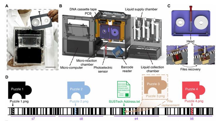 Del Casete a la Doble Hélice: Crean una Cinta de ADN para el Almacenamiento de Datos del Futuro