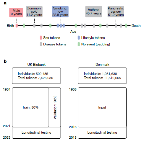 El Oráculo de la Medicina: Cómo la IA que impulsa a ChatGPT está aprendiendo a predecir el futuro de nuestra salud