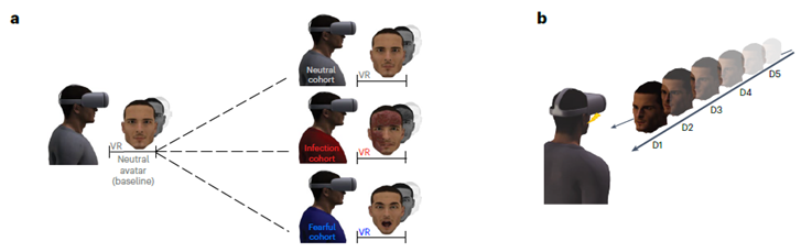 El Sexto Sentido del Cuerpo: Cómo tu Cerebro Activa tus Defensas Antes de que te Enfermes