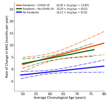 La Huella Invisible: Cómo la Pandemia Envejeció Nuestro Cerebro (Incluso si no te contagiaste)