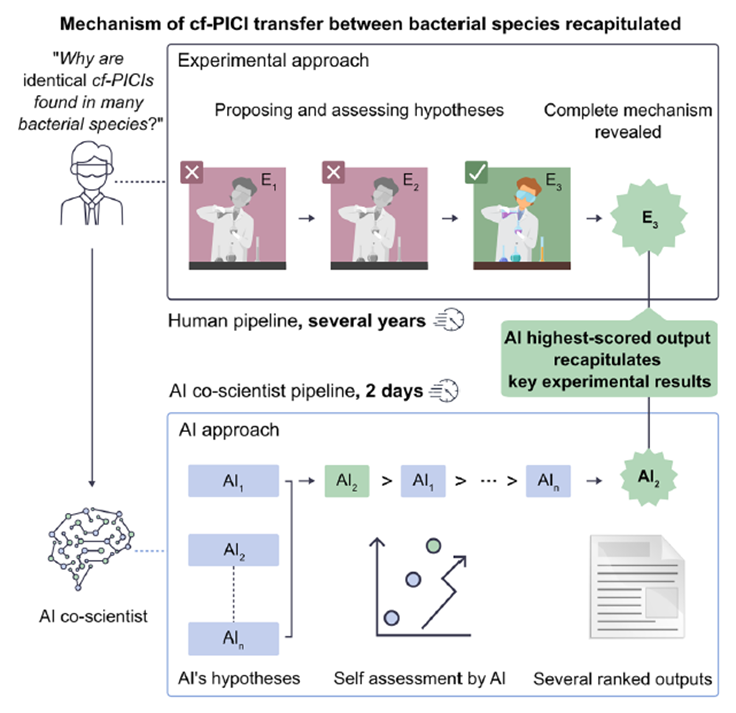 El Espejo de la Ciencia: La IA que Replicó Años de Investigación en Días y Descubrió un Secreto de la Evolución Bacteriana