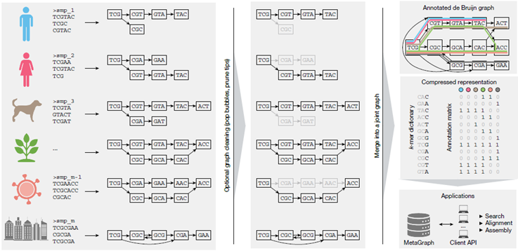 Nace “MetaGraph”: El Buscador a Escala Planetaria que Hará ‘Googleable’ todo el ADN de la Tierra