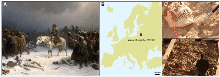 CSI de la Historia: ADN Antiguo Revela a los Asesinos Invisibles del Ejército de Napoleón