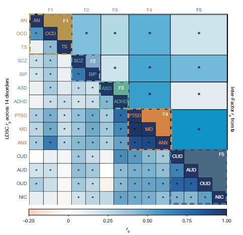 🧠 El Gran Mapa Genético de la Mente: Descubren las 5 “familias” ocultas de los trastornos psiquiátricos
