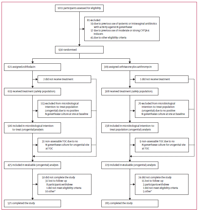 💊 Esperanza contra la “Supergonorrea”: Un nuevo antibiótico oral demuestra su poder