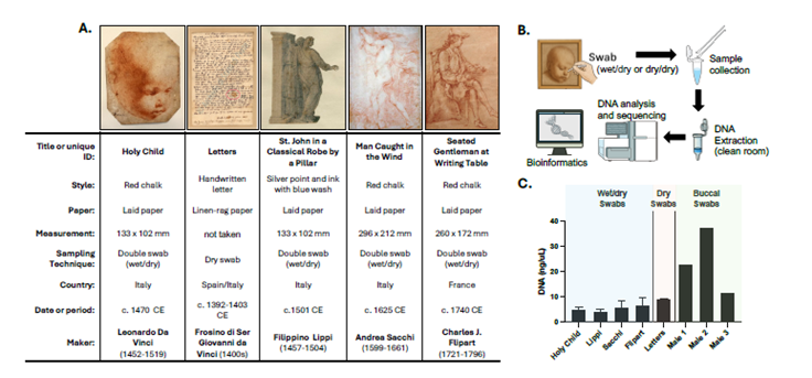 🎨 El Código Da Vinci Real: Buscando el ADN de Leonardo en sus obras y cartas