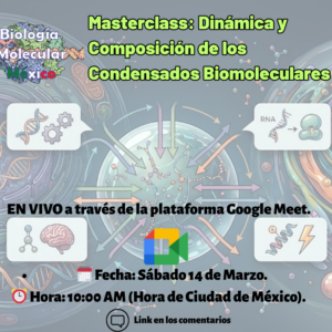 Masterclass: Dinámica y Composición de los Condensados Biomoleculares