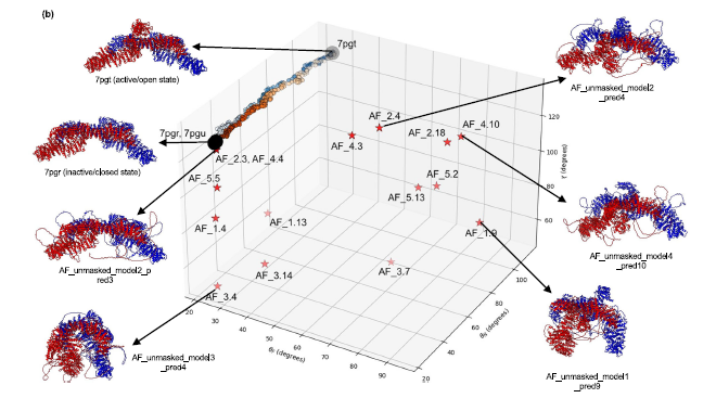 🧬 La “cámara lenta” de la vida: un nuevo algoritmo revela el baile secreto de las megaproteínas
