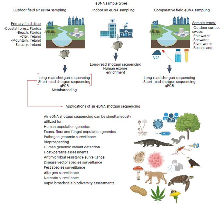 🌬️🧬 El ADN que flota en el viento: la revolución de la secuenciación por “escopeta” para mapear la vida