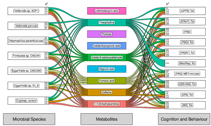 ☕🧬 Más que un despertar: descubren cómo el café moldea tu microbiota y cambia tu forma de pensar
