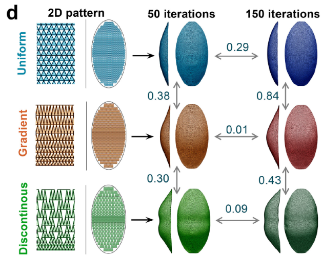 👁️ El Ojo de los Insectos es un Metamaterial Natural: La Asombrosa Programación en 3D de la Visión Panorámica